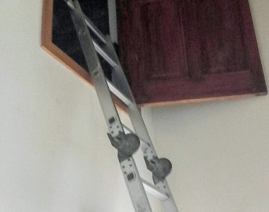 Rafecas inspeccionó la casa de López y ubicó el falso piso donde habría escondido los 9 millones de dólares