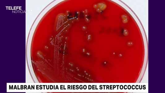 El Instituto Malbrán estudia la bacteria que ya causó seis víctimas fatales