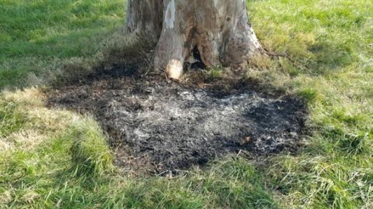 Hallaron el cuerpo calcinado de una mujer dentro de una valija en la autovía 2