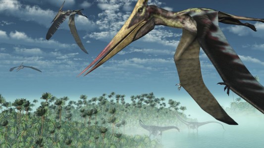 Hallaron en Chubut el pterosaurio más antiguo del país, que voló hace 170 millones de años