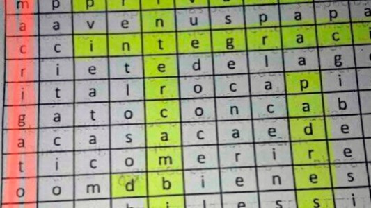 Polémica por un profesor que dio a sus alumnos un crucigrama que dice "Macri gato"