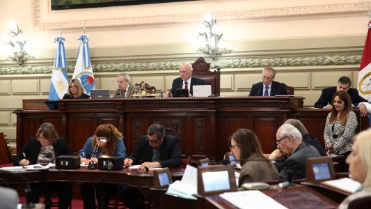 Santa Fe: Diputados dio media sanción a la ley de discapacidad y al cupo laboral trans