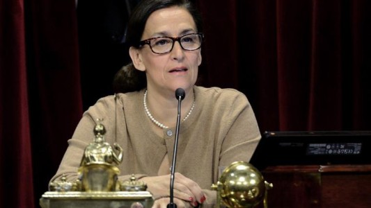 Michetti detalló el origen de los fondos robados de su casa y pidió ser sobreseída