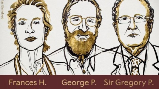 Nobel de Química para investigadores de las proteínas