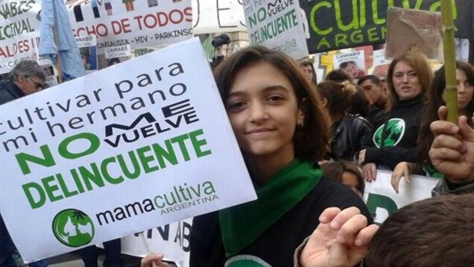 La Cámara de Diputados dio media sanción al uso medicinal del aceite de cannabis