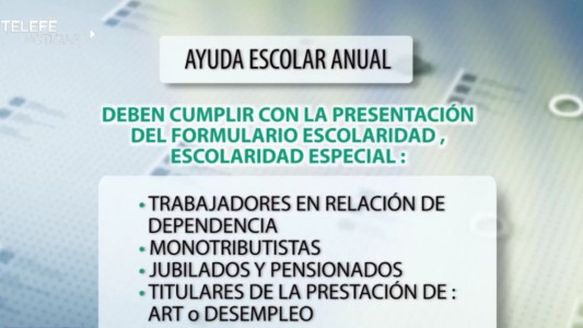 Micro de Anses: cómo tramitar la ayuda escolar anual