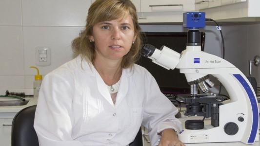 Premian a una científica argentina por una investigación sobre tumores en la hipófisis