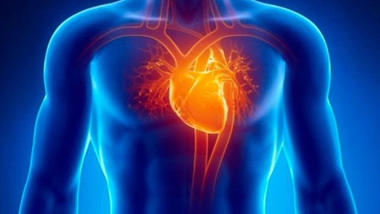 Por primera vez implantan un cardiodesfibrilador subcutáneo en un adolescente