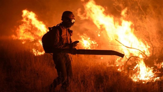 El Gobierno creará un Observatorio Nacional de Cambio Climático para dar respuesta a emergencias ambientales
