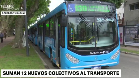 Transporte: sumaron doce nuevas unidades a la línea 130
