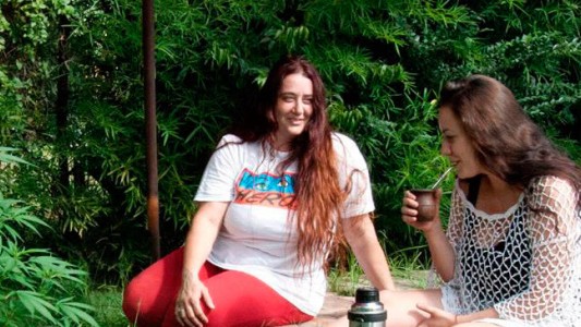 Dieron prisión domiciliaria a la mujer que tenía plantas de cannabis en su casa para uso medicinal