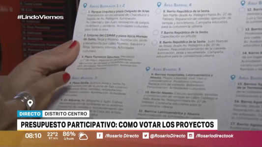 Presupuesto participativo: comienza la votación de los proyectos