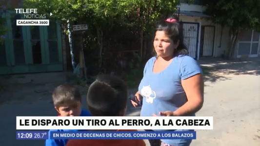 Un policía mató de un disparo a un cachorro en medio de una persecución