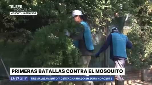 Operativo contra mosquitos: comenzaron las tareas de fumigación