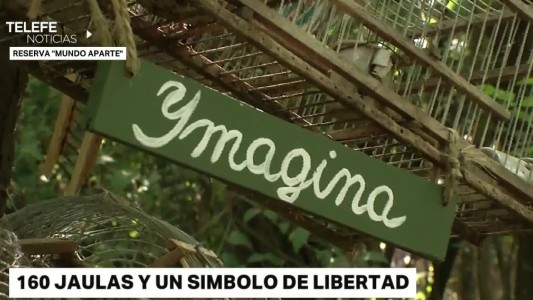 "Imagina", una intervención artística por la libertad de las aves