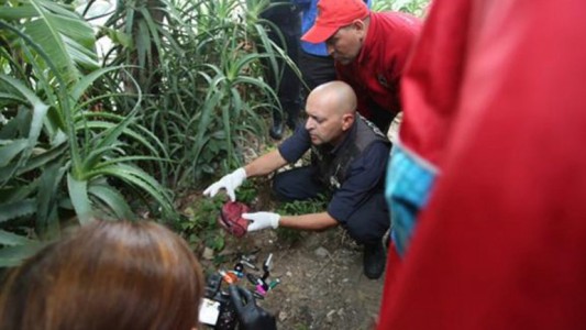 Encontraron en el partido bonaerense de San Martín una cartera que sería de Araceli Fulles