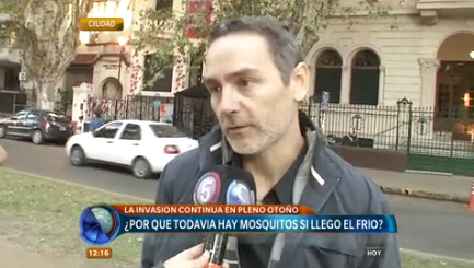 Alerta por mosquitos en pleno otoño