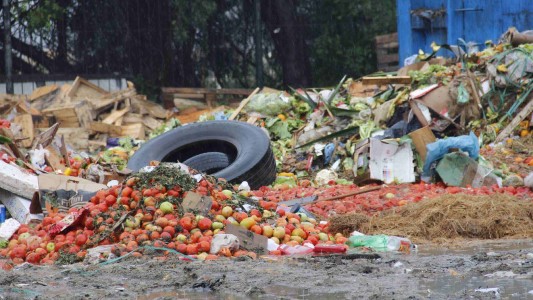 En la Argentina se desperdician cerca de 16 millones de toneladas de alimentos por año