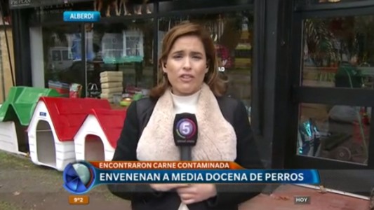 Alberdi: envenenan a media docena de perros
