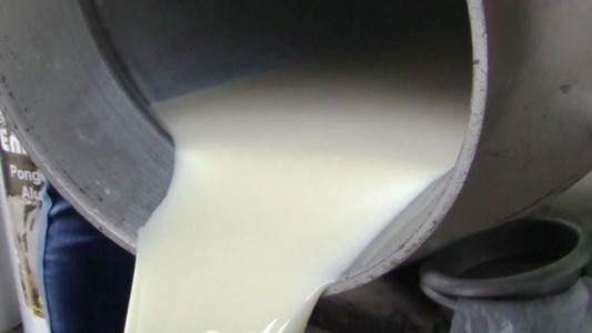 El Ministro de Agricultura reconoció que el litro de leche "es más que caro" en Argentina