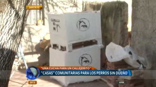 "Un techo para un callejerito": casas comunitarias para los perros sin dueño