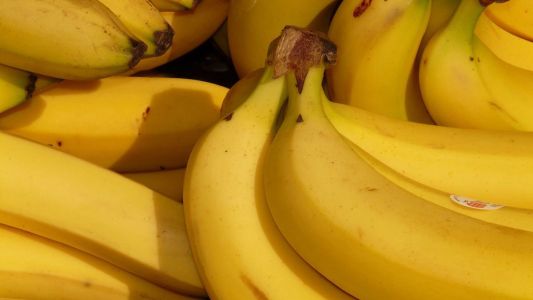 Productores del norte regalarán 30 toneladas de bananas en Plaza de Mayo para protestar por la situación del sector