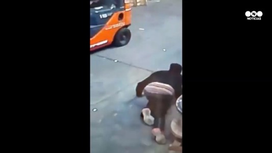 Bahía Blanca: burló las alarmas de un negocio y robó dos días seguidos