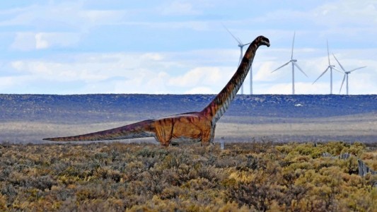 Titán de la Patagonia: el dinosaurio más grande del mundo vivió en la Argentina