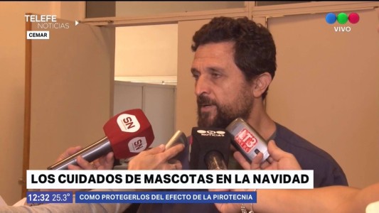 ¿Cómo cuidar a nuestras mascostas durante las Fiestas?