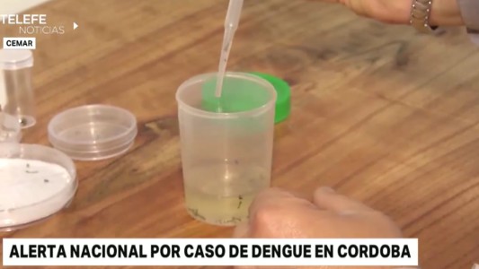 Alerta nacional por un caso confirmado de dengue importado en Córdoba