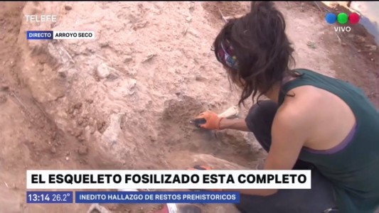 Arroyo Seco: hallan restos fósiles de más de 20 mil años de antigüedad