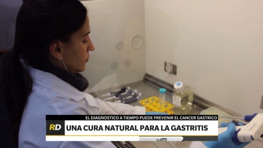 Científicos tucumanos trabajan en un antídoto natural para prevenir y curar la gastritis