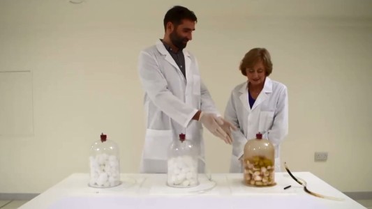 Un experimento muestra la diferencia al fumar un cigarrilo electrónico y uno normal