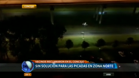 Sin solución para las picadas en zona norte: los vecinos reclamaron en el Concejo