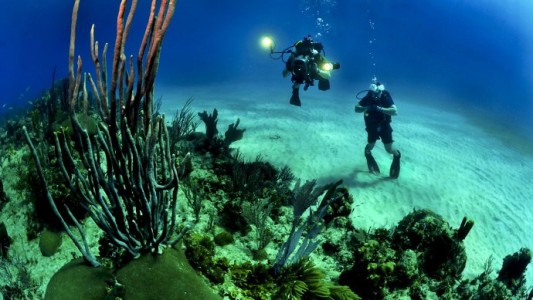 Tailandia: murió una turista argentina mientras practicaba buceo