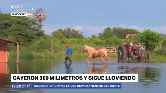 Lifschitz declaró la emergencia agropecuaria en el noroeste de la provincia