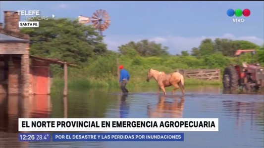 El norte provincial en emergencia agropecuaria