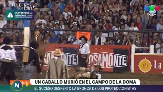 Murió un caballo durante la doma en el Festival de Jesús María