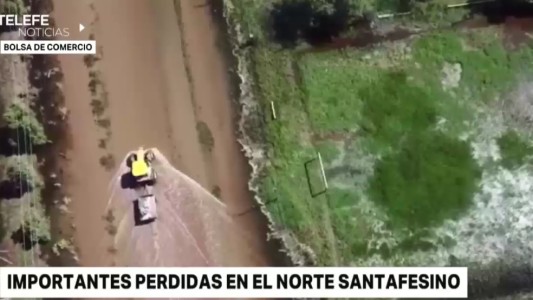 Preocupan las enormes pérdidas en los campos santafesinos por las inundaciones