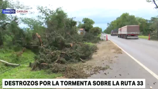Fuerte temporal en Casilda: hubo voladuras de techos y cayeron 40 árboles