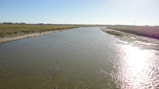 Buscan a una nena de 6 años que cayó al río Salado