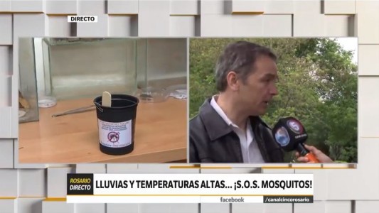 Lluvia, calor, humedad y...¡mosquitos!