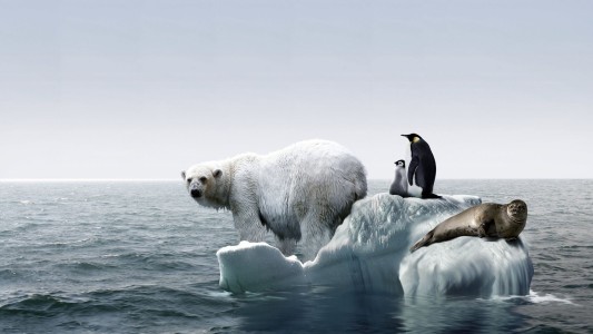 Alertan sobre la inmediatez del cambio climático tras el lustro más cálido desde 1880