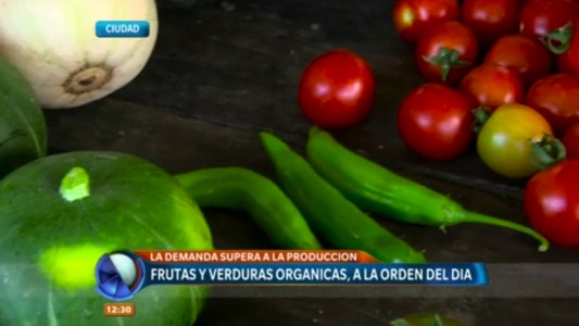 Tendencia saludable: se impone el consumo de verduras agroecológicas