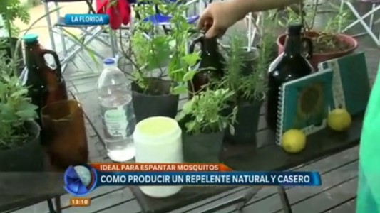 Natural y casero: cómo elaborar un repelente a base de citronela
