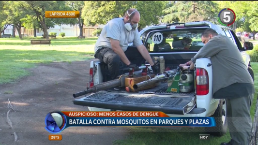 Intensifican las fumigaciones en espacios verdes para evitar la proliferación de mosquitos