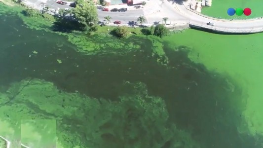 Córdoba: impactantes imágenes de la contaminación en el Lago San Roque