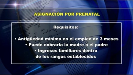 Requisitos para la Asignación Familiar por Prenatal