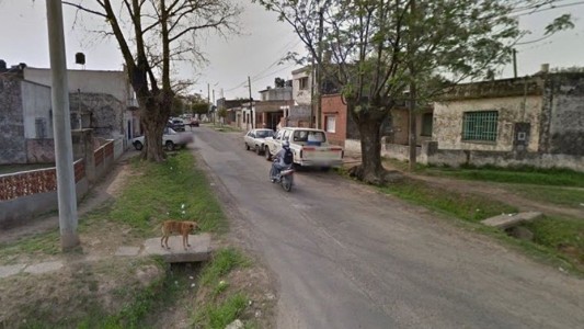 Mató a machetazos al pitbull de un vecino porque había matado a su caniche toy