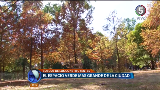 Bosque de los Constituyentes, el pulmón verde más grande de la ciudad